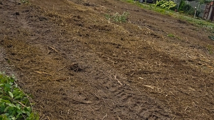 Aleja Myśliwska - 2